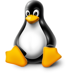 Linux VPS